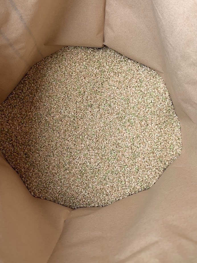 令和6年埼玉県産　新米コシヒカリ　玄米　風袋込み30㎏　　農家直送 _3