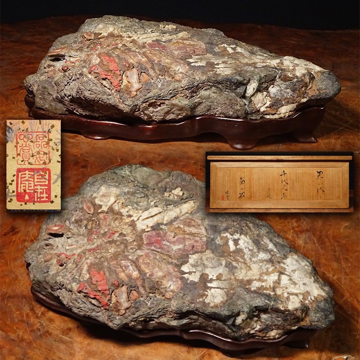花◇仏教学者【加藤咄堂】遺愛品 根尾谷菊花石 銘『神崎』水石 盆石