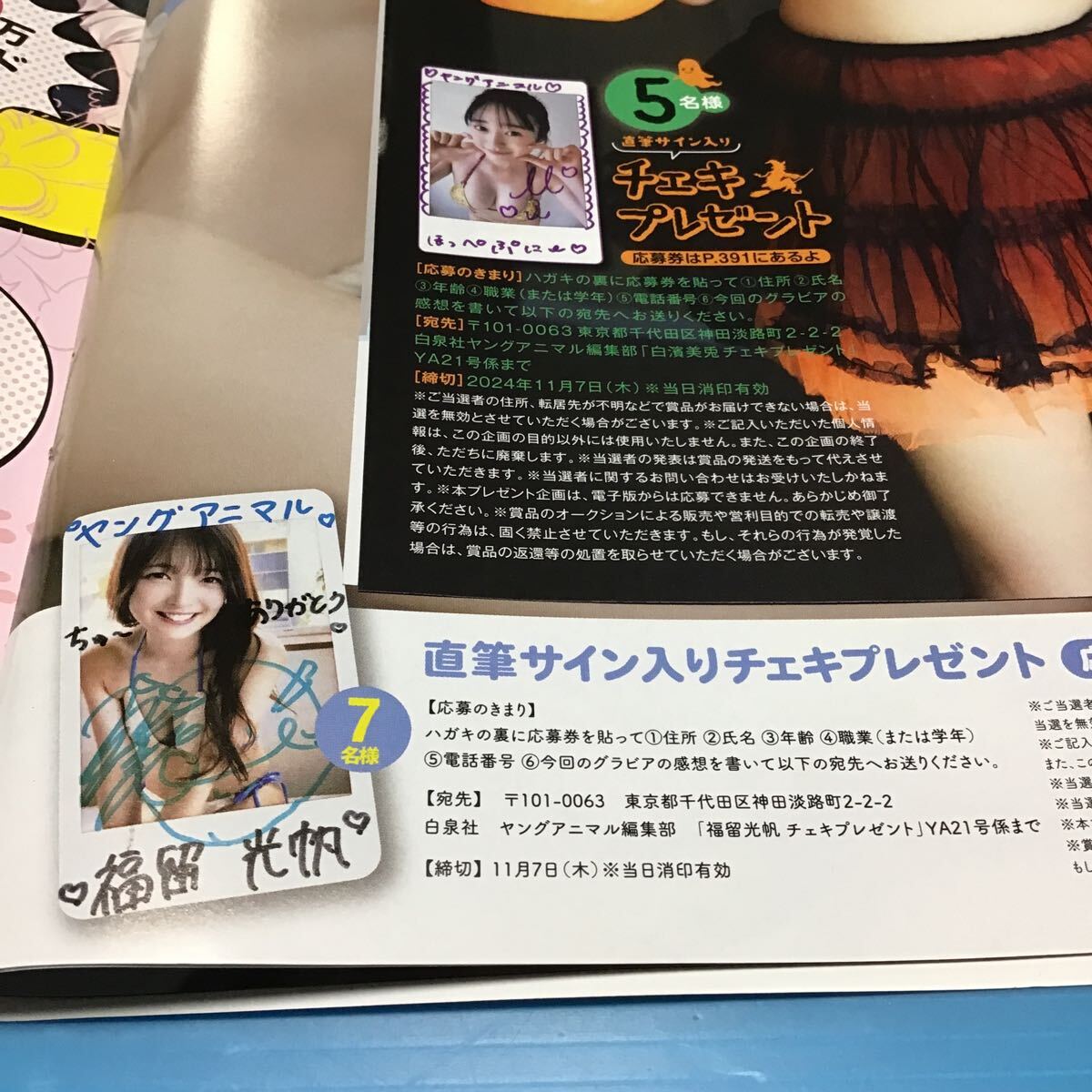 ヤングアニマル 白濱美兎 福留光帆「 直筆 サイン 入り チェキ 応募券