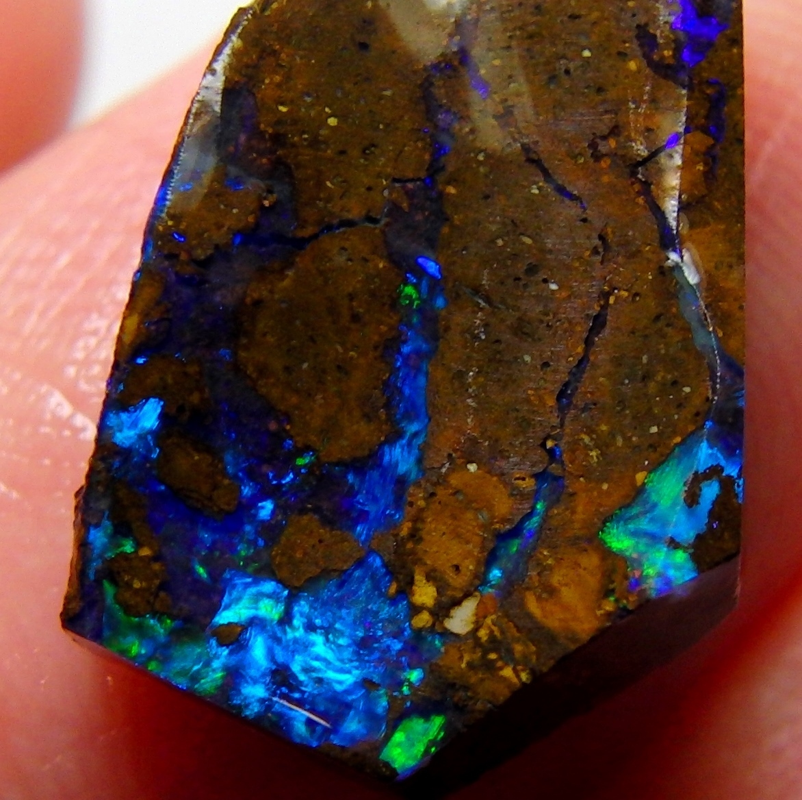 6.85 cts 天然 ボルダーオパール 原石 未研磨 鉱物標本(オパール