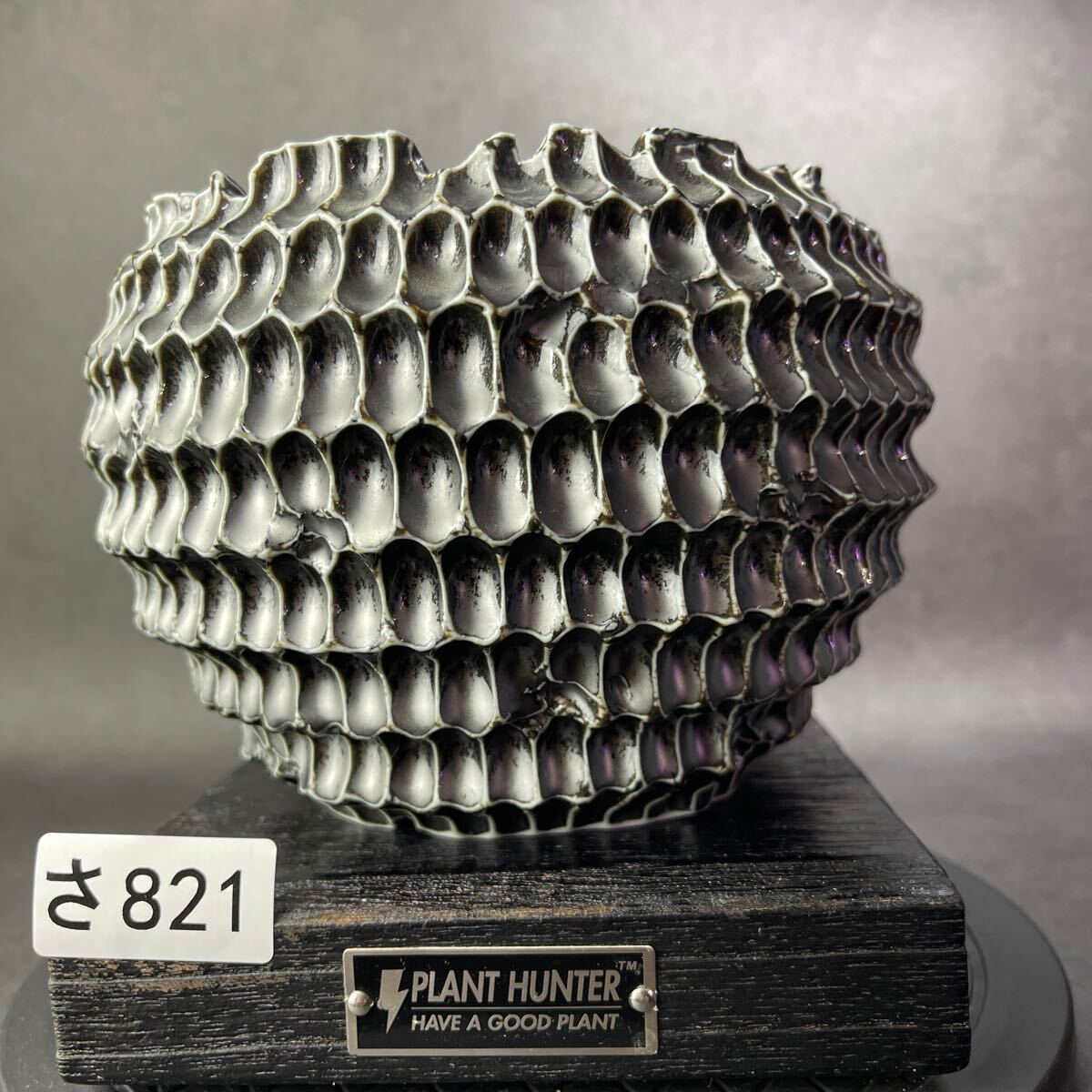 さ821 XL Hand Made 植木鉢 陶器 検 アガベ パキプス invisible ink