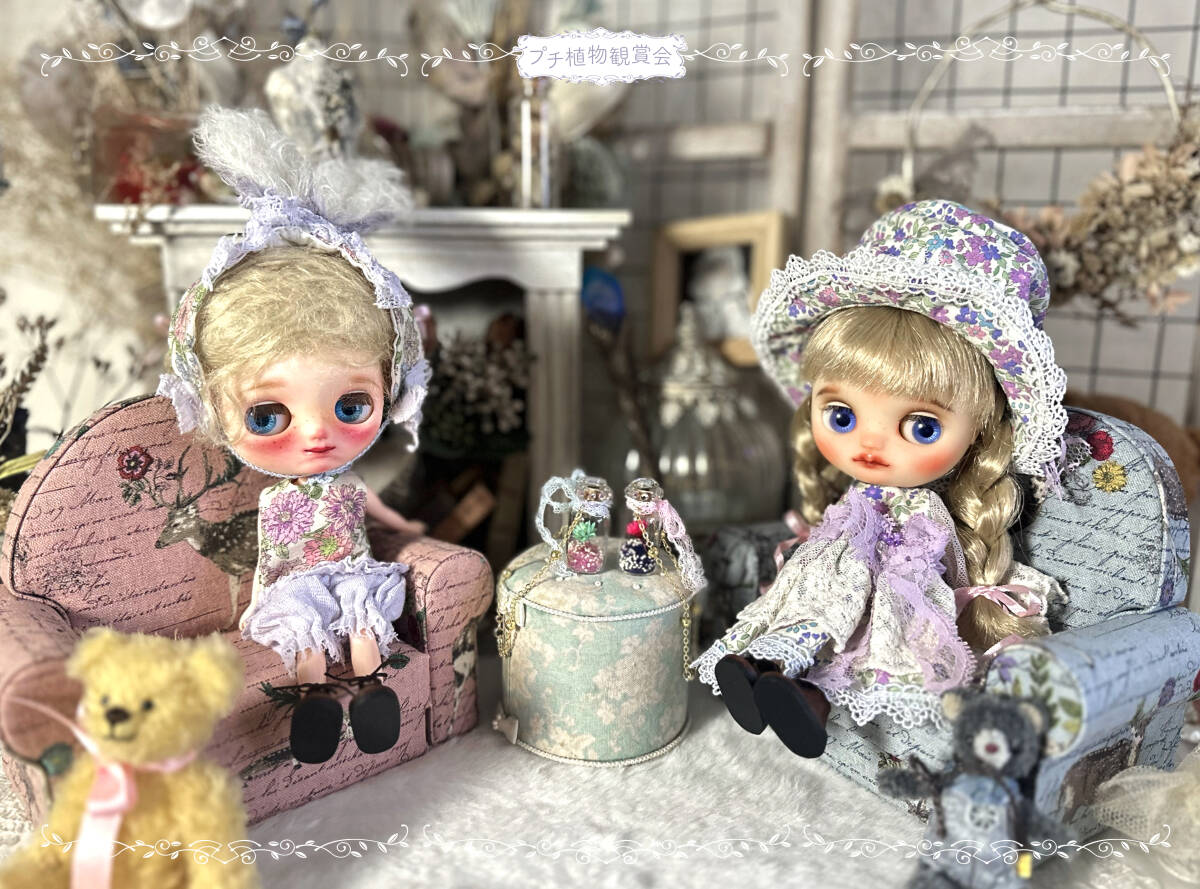 ＊MurmurCoco＊プチ植物観賞会＊Blythe ミディブライス~カスタムメイク~2体セットドレス一式　(難あり)_1
