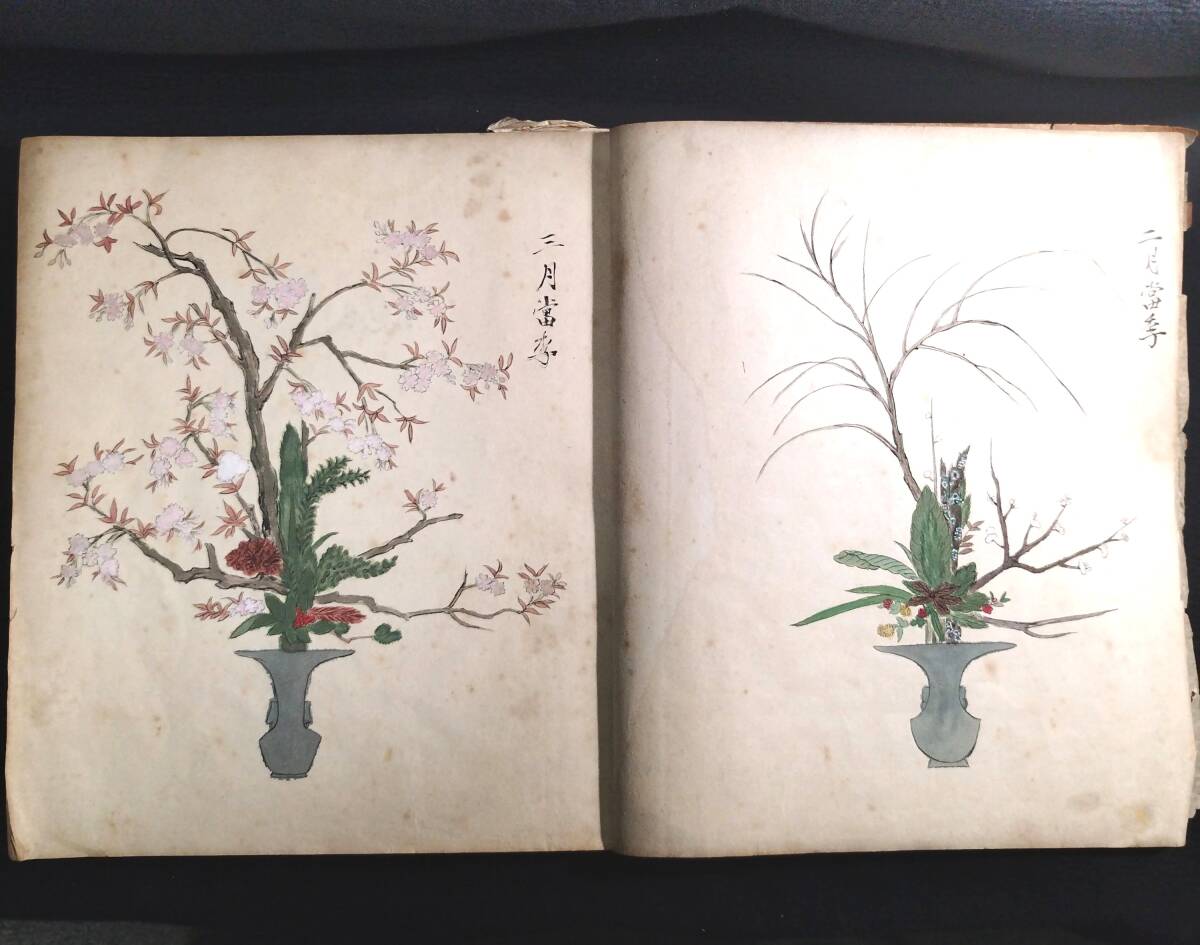 特大本 彩色 華道【 14代 池坊専好之図 】活花 花道 活花 絵入 絵本 画