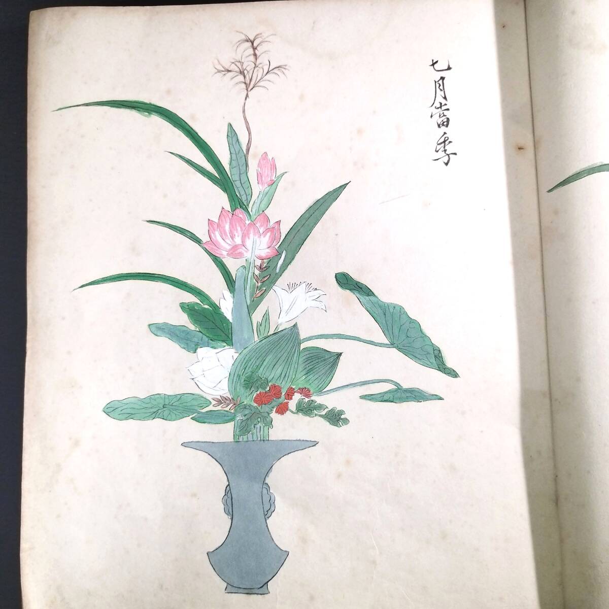 特大本 彩色 華道【 14代 池坊専好之図 】活花 花道 活花 絵入 絵本 画