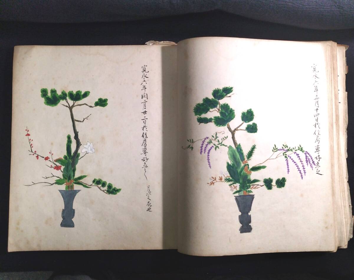 貝合せ 池坊専好立花図 四十五世 池坊専永 箱書 香合 華道 金彩【MA908】 特大本 彩色 華道【 14代 池坊専好之図 】活花 花道 活花 絵入 絵本 画