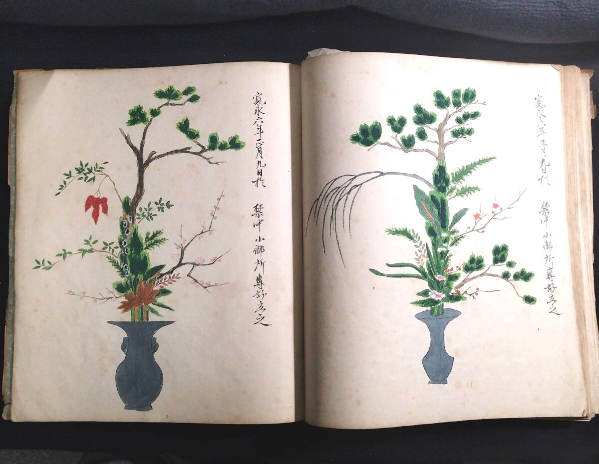 特大本 彩色 華道【 14代 池坊専好之図 】活花 花道 活花 絵入 絵本 画
