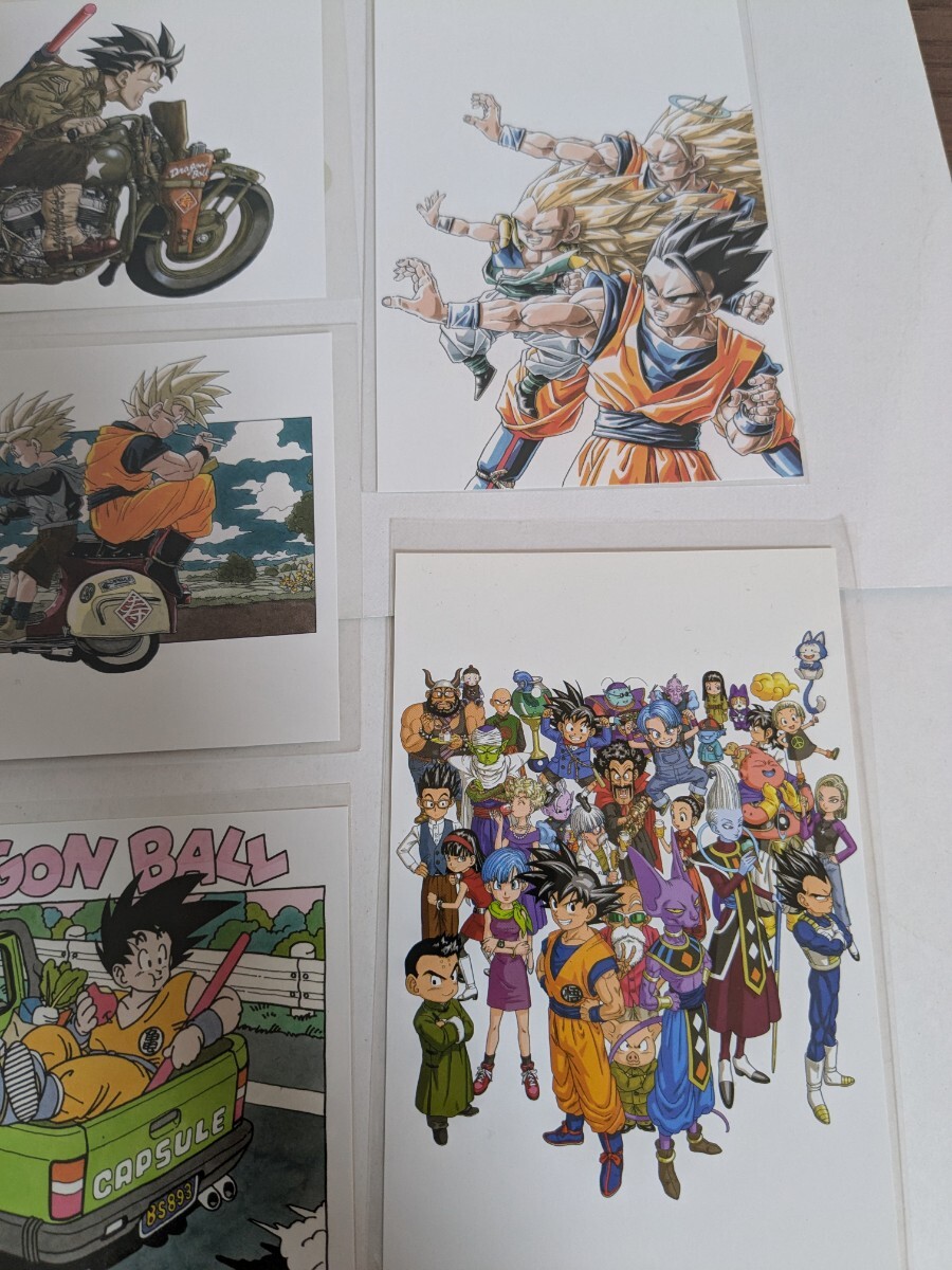 鳥山明 ドラゴンボールカードダス 57枚セット 鳥山明の世界展 ドラゴンボール ポストカード カードダス まとめ