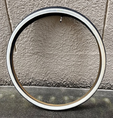 l384924581.3