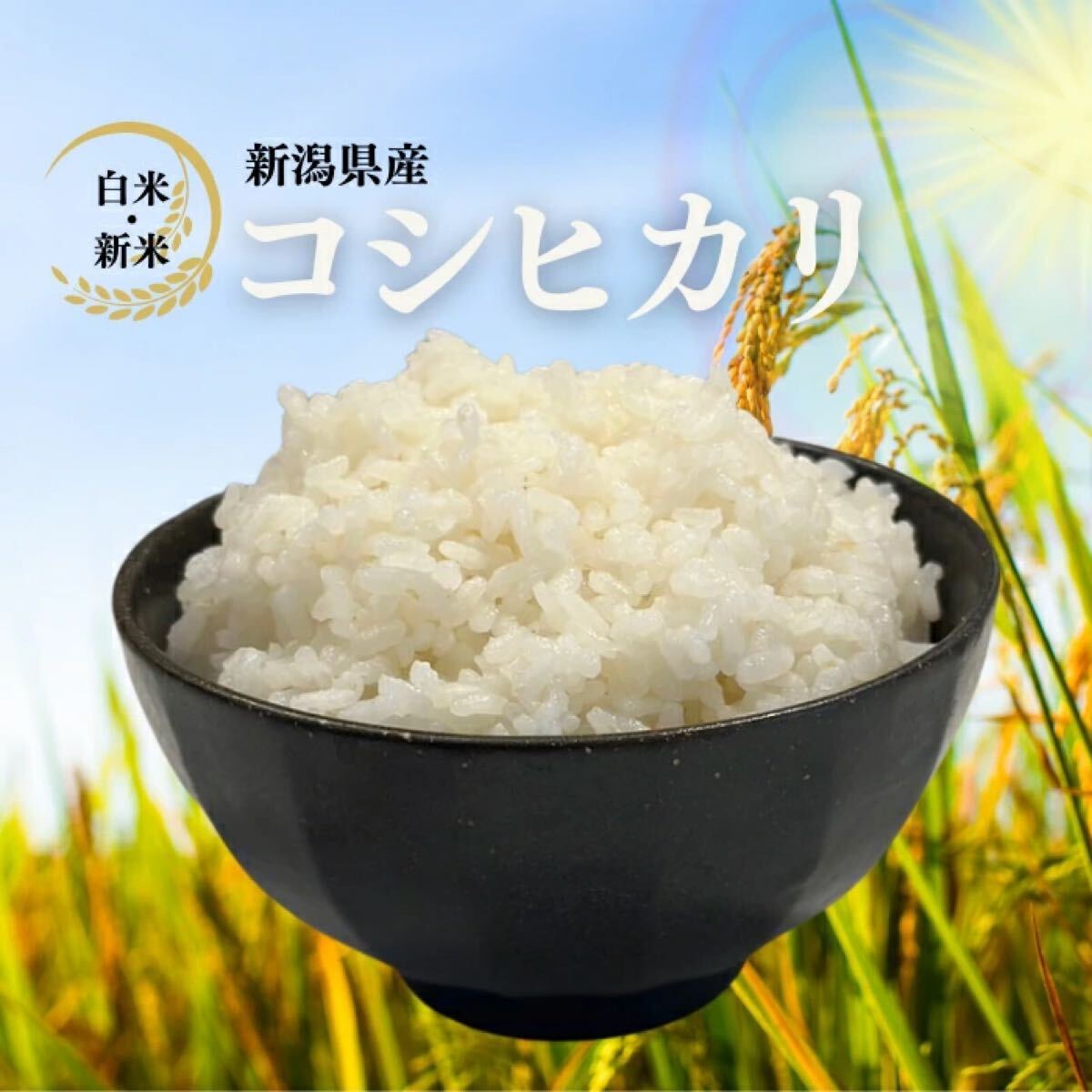 【新米】10kg 令和5年産 新潟産こしひかり米 コシヒカリ 送料無料 コシヒカリ 新米送料無料匿名配送未使用_1