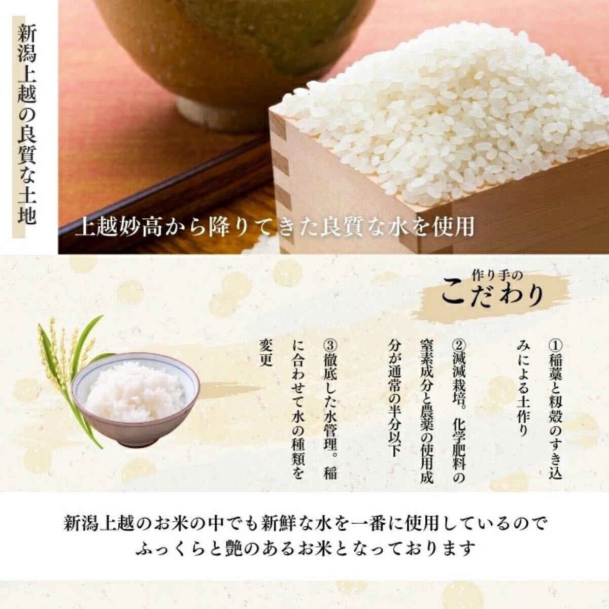 【新米】10kg 令和5年産 新潟産こしひかり米 コシヒカリ 送料無料 コシヒカリ 新米送料無料匿名配送未使用_2