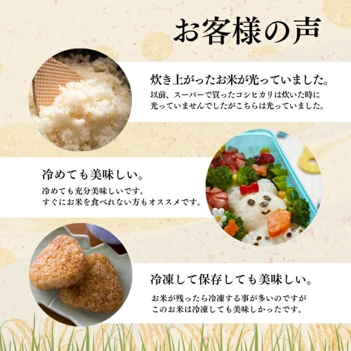 【新米】10kg 令和5年産 新潟産こしひかり米 コシヒカリ 送料無料 コシヒカリ 新米送料無料匿名配送未使用_3