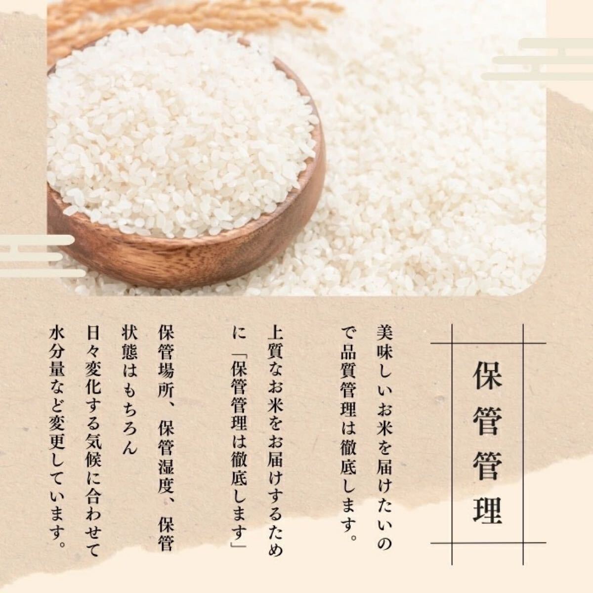 【新米】10kg 令和5年産 新潟産こしひかり米 コシヒカリ 送料無料 コシヒカリ 新米送料無料匿名配送未使用_4