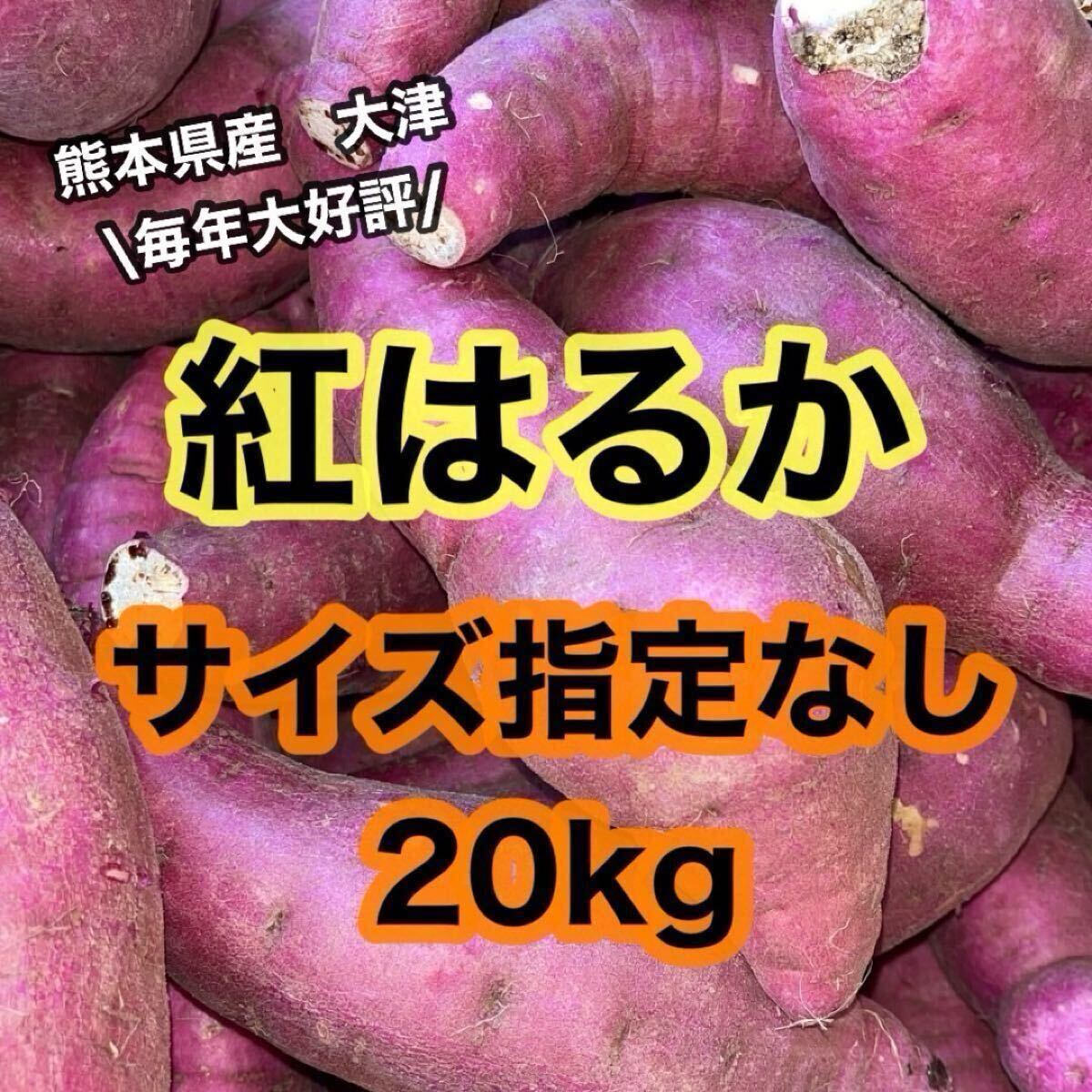 特売◎熊本県産 大津 べにはるか 紅はるか サイズ指定無し 20kg(送料