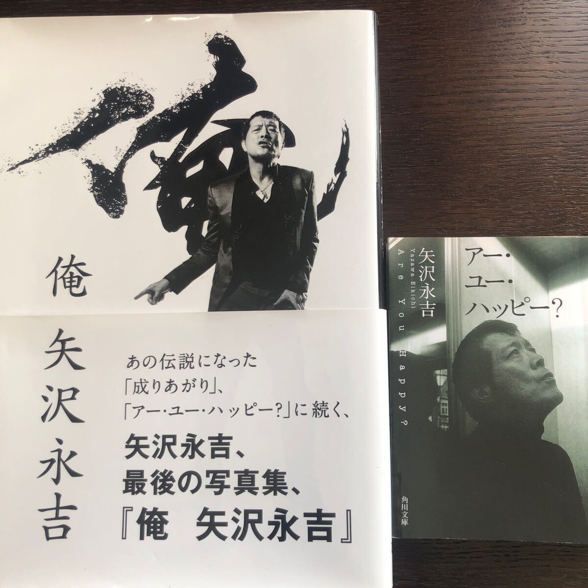 矢沢永吉写真集とアー・ユー・ハッピー? 二冊せっと中古破れなし_1