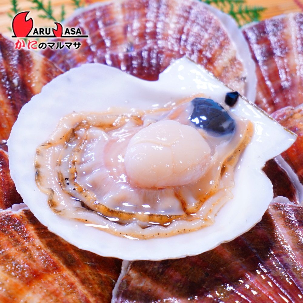 【かにのマルマサ】北海道産 活ホタテ貝 3年貝 1キロ詰 よつ葉バターセット_3