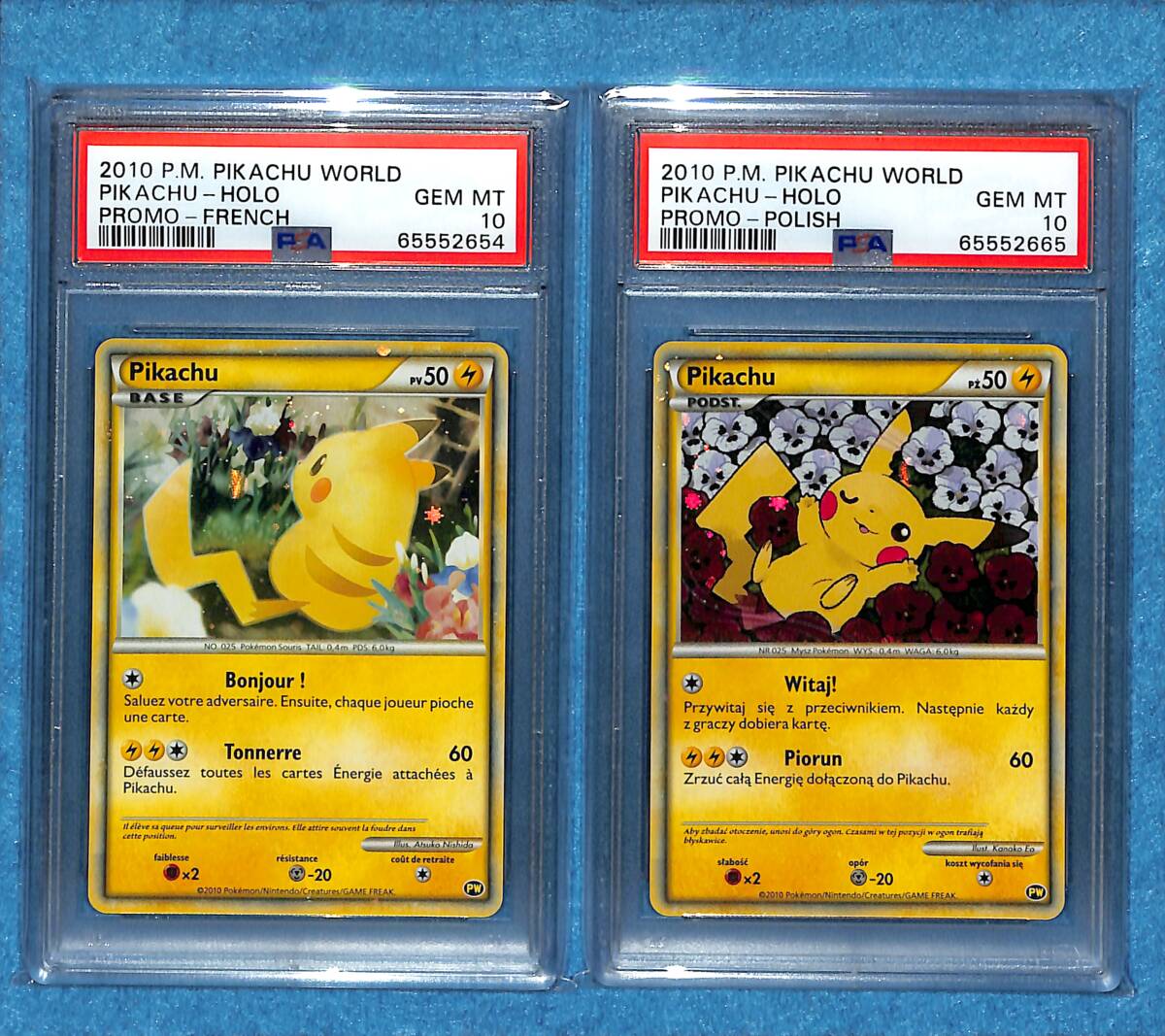 PSA10 フルコンプ 9枚セット】Pikachu ピカチュウ PIKACHU WORLD