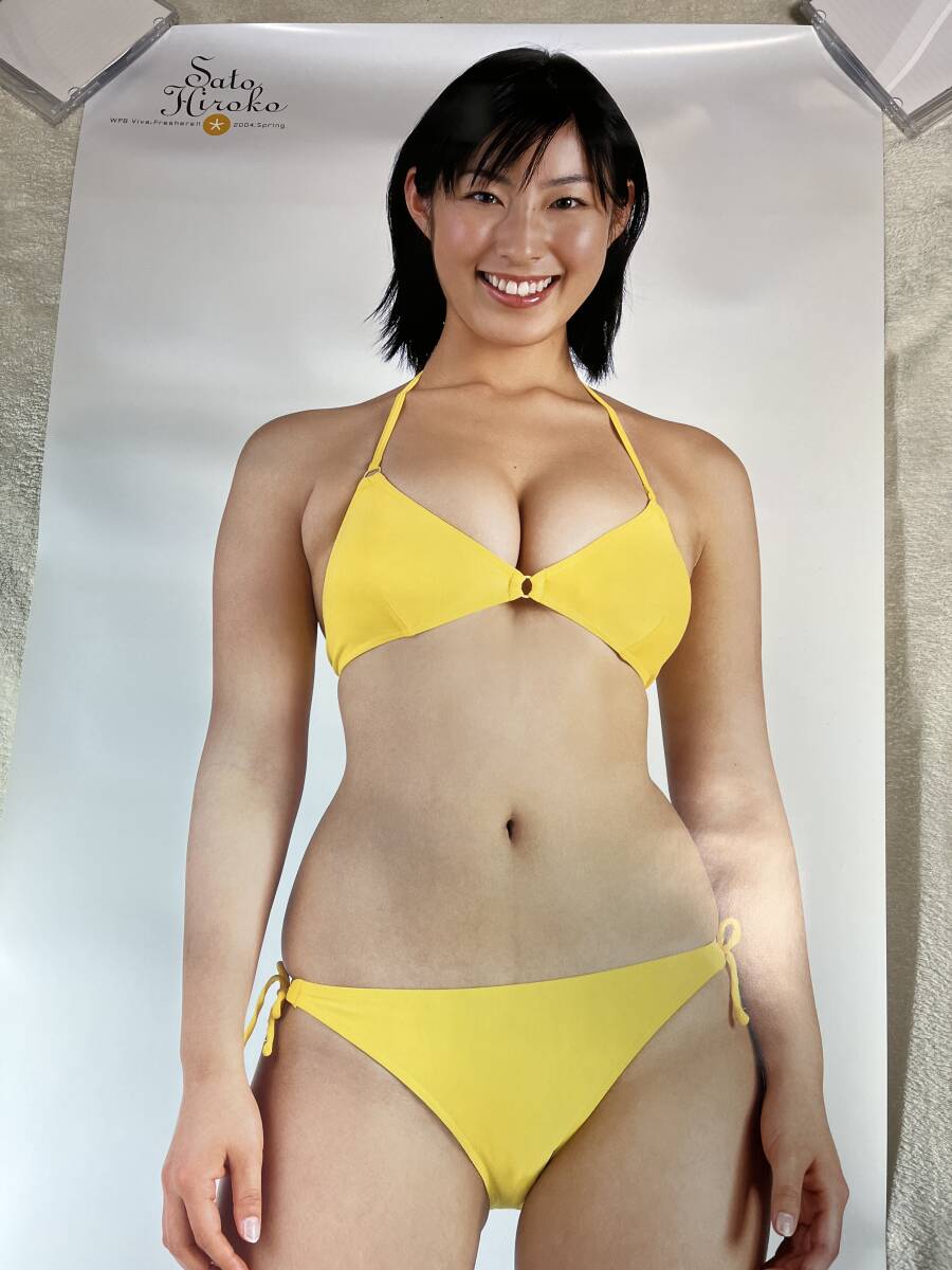 佐藤寛子 中古 等身大ポスター「週刊プレイボーイ 応募者全員サービス