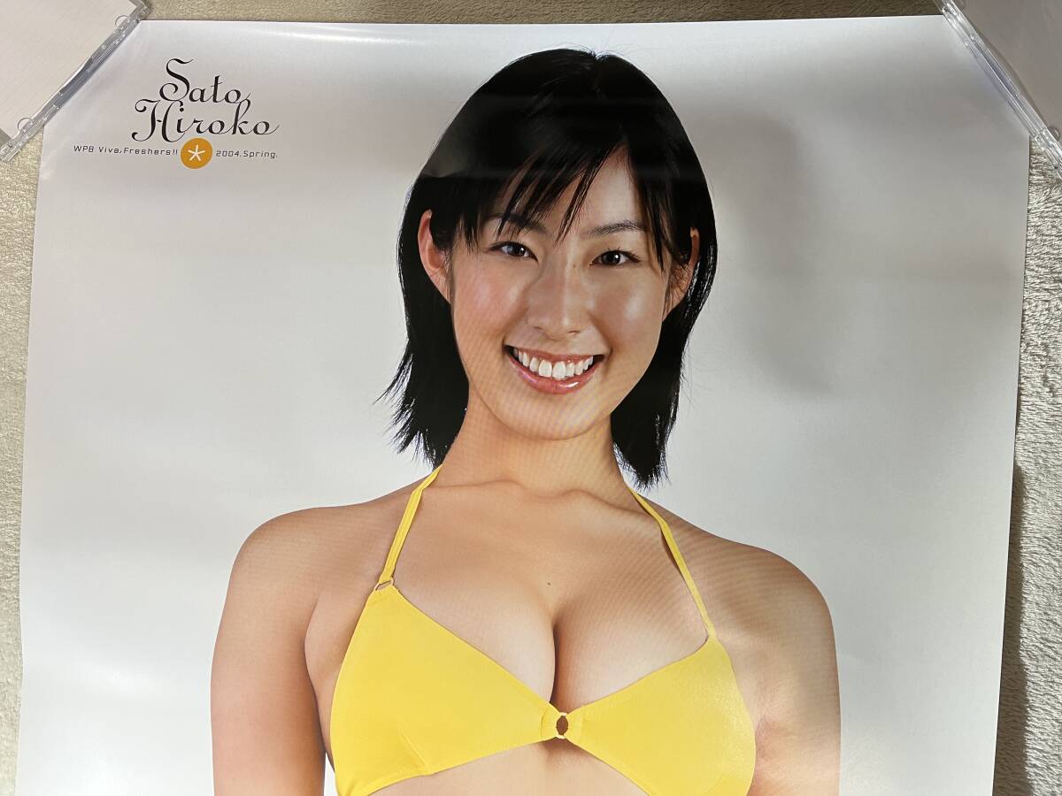 佐藤 寛子 グラビア