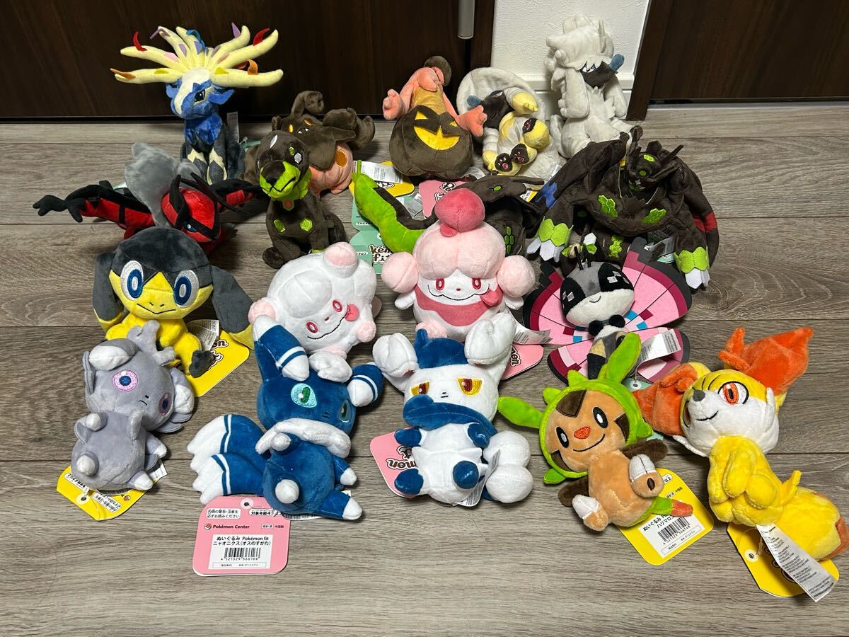 ポケモンセンターオリジナルぬいぐるみ ポケットモンスター X・Y