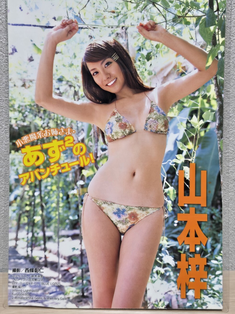 山本梓】[150μmラミネート加工 切り抜き7ページ]月刊ヤングマガジン