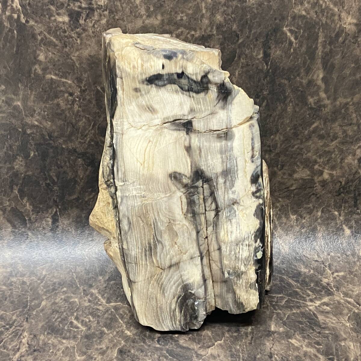 木化石の値段と価格推移は？｜29件の売買データから木化石の価値が