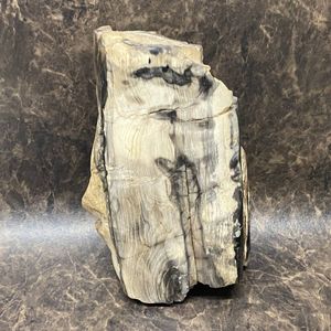 木化石の値段と価格推移は？｜23件の売買データから木化石の価値が