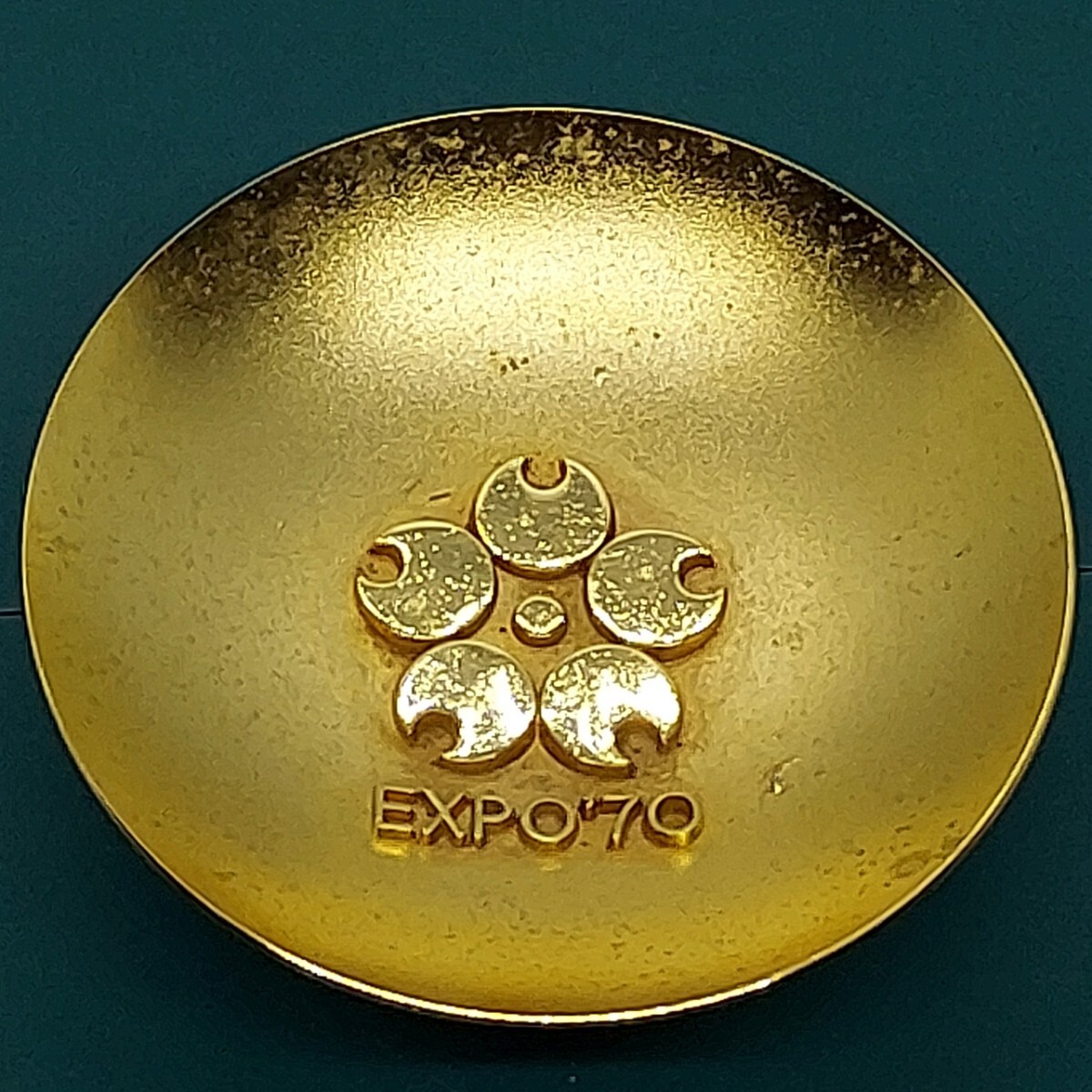 54204724_4