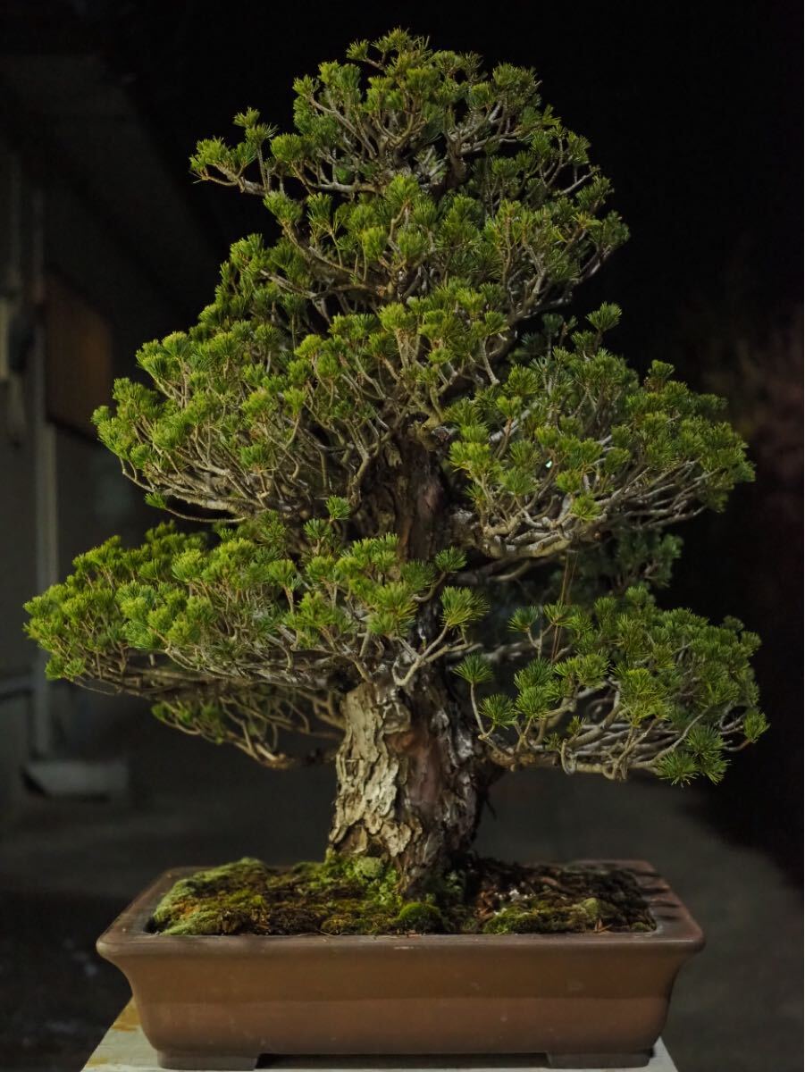 中野行山の値段と価格推移は？｜51件の売買データから中野行山の価値が