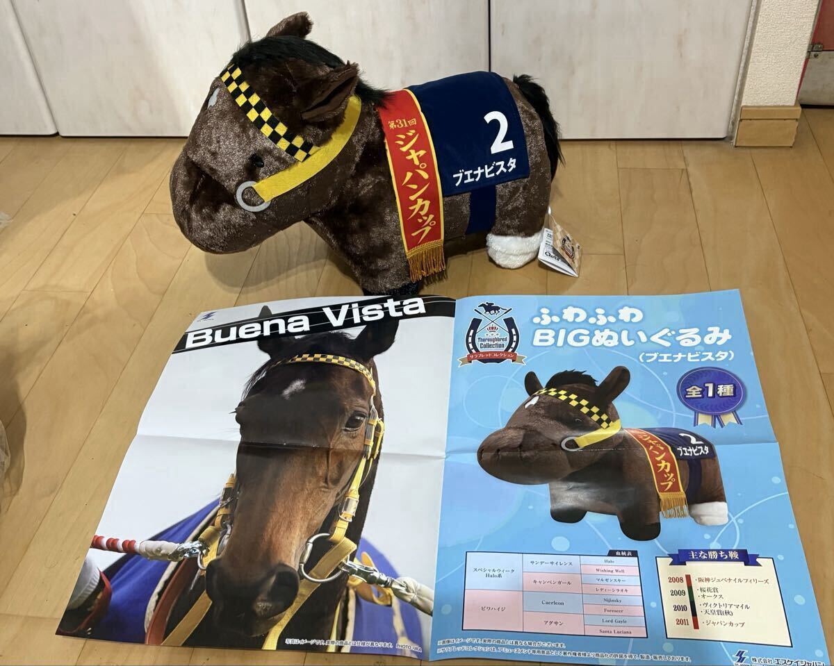 ブエナビスタ サラブレッドコレクション 特製ポスター付き