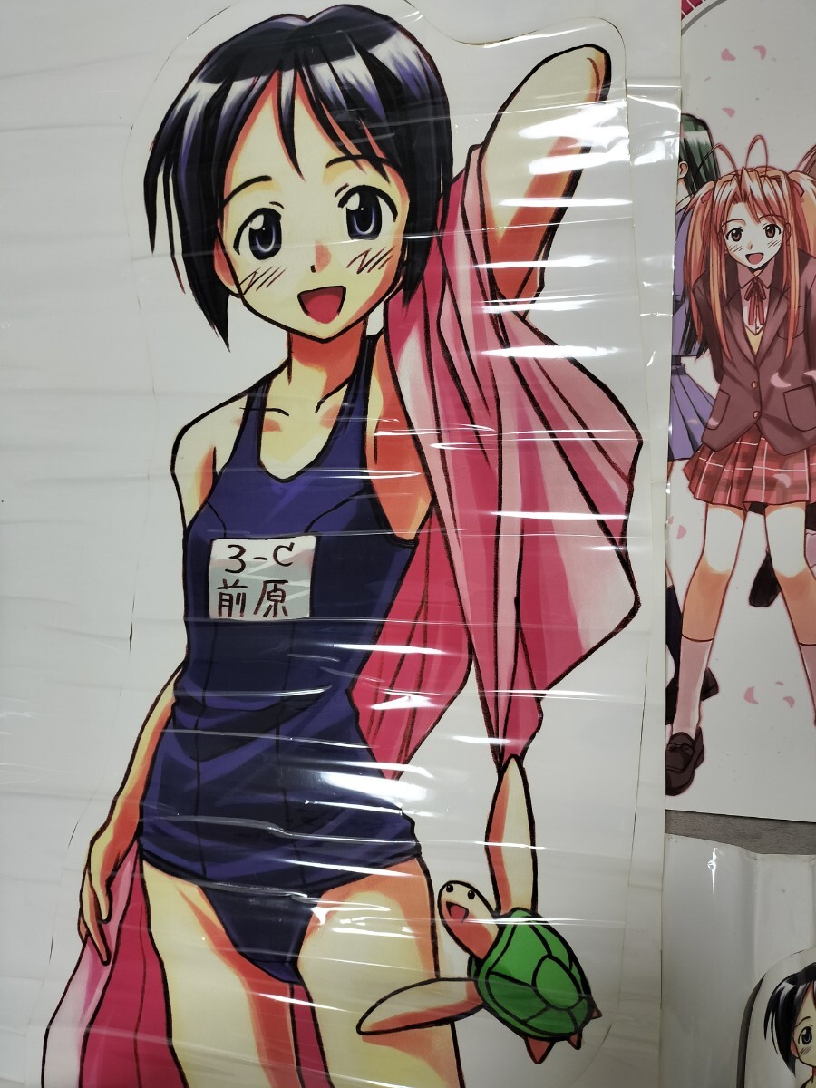 前原しのぶ 水着 等身大ステッカー「 ラブひな 」カレンダー・トレカ付