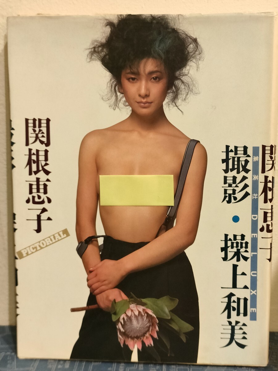 激レア!!】関根恵子(高橋惠子) 写真集 DELUXE PICTORIAL 操上和美撮影