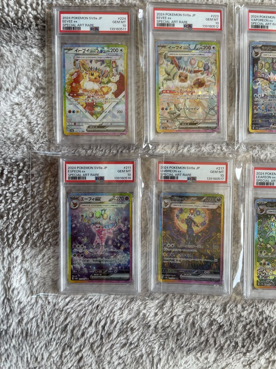 PSA10図鑑順 ブイズSAR10 連番 テラスタルフェスexブラッキー