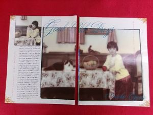 小川範子の値段と価格推移は？｜107件の売買データから小川範子の価値