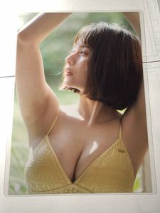 桜子のYahoo!オークション(旧ヤフオク!)の相場・価格を見る｜Yahoo 