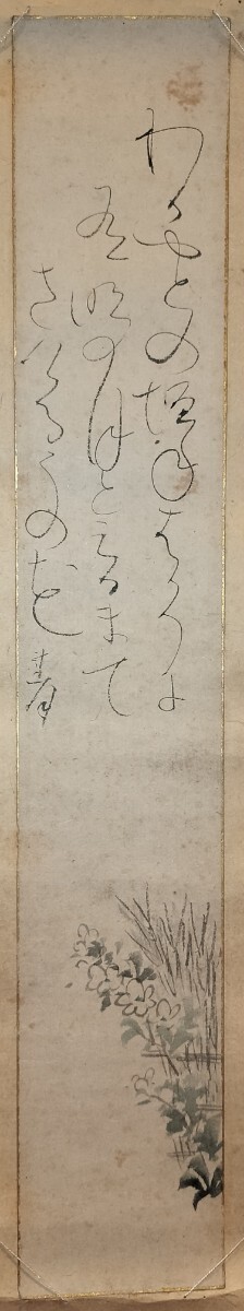 真作] 大田垣蓮月 掛軸 短冊 卯の花 画賛 「わか宿の」 紙本 肉筆 和歌