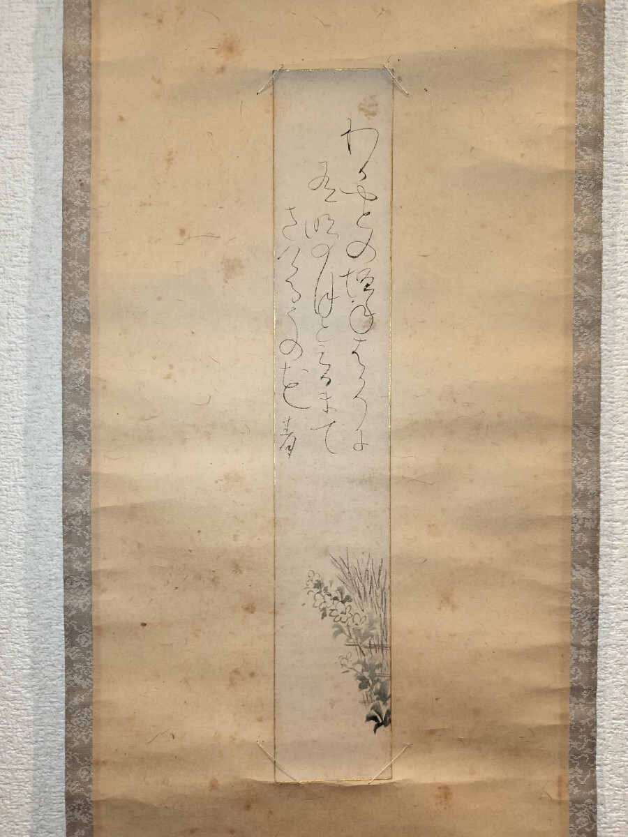 真作] 大田垣蓮月 掛軸 短冊 卯の花 画賛 「わか宿の」 紙本 肉筆 和歌