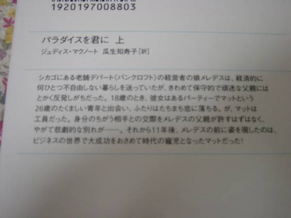 ジュディス・マクノート【パラダイスを君に上巻のみ】ヴィレッジ_2