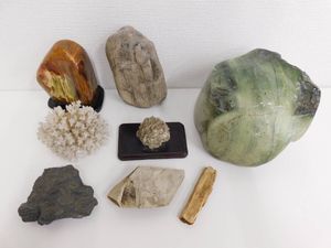 サンゴ 化石の値段と価格推移は？｜11件の売買データからサンゴ 化石の