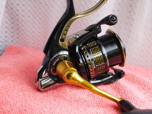 morethan BRANZINOの値段と価格推移は？｜7件の売買データからmorethan