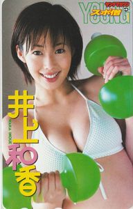 井上和香 マガジンの値段と価格推移は？｜21件の売買データから井上