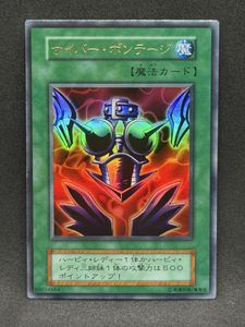 サイバーボンテージの値段と価格推移は？｜3件の売買データから