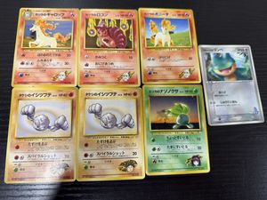 カツラのギャロップの値段と価格推移は？｜4件の売買データからカツラ