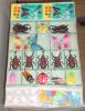 貴重●昭和駄菓子屋 【昆虫デラックスくじ】昆虫採集 ・虫めがね_1