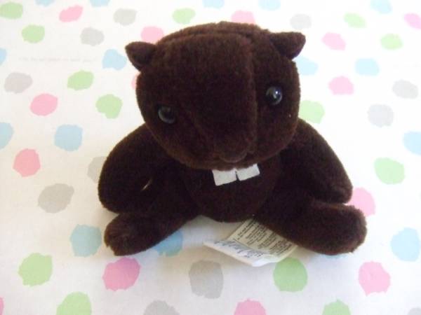 輸入ぬいぐるみ●ビーバー_2