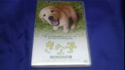 ☆きな子中古DVD☆_1