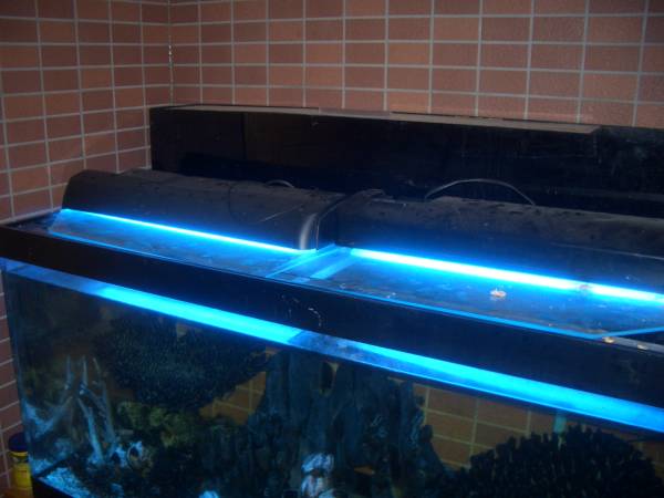 アクリル水槽 10 600 傷多し 海水魚 引き取り限定 1cm 売買されたオークション情報 Yahooの商品情報をアーカイブ公開 オークファン Aucfan Com