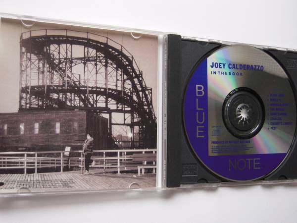 【レア輸入盤】ジョーイ・カルデラッツォ / イン・ザ・ドア_3