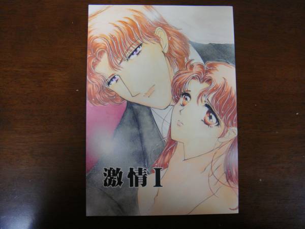 ガラスの仮面同人誌 激情I 真澄×マヤ シリアス H有の入札履歴 - 入札者