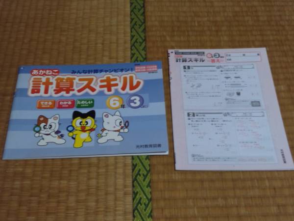 あかねこ 計算スキル 小学校６年３学期 算数 解答付 小学校 売買されたオークション情報 Yahooの商品情報をアーカイブ公開 オークファン Aucfan Com