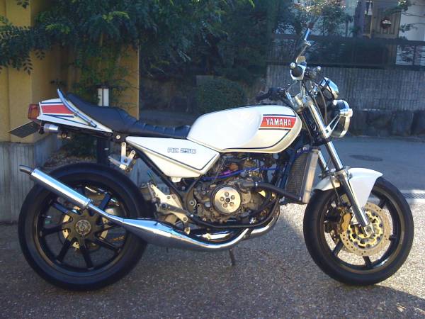 1 極上 Rz250 フルカスタム プロアーム Nsr250rエンジン 126cc 250cc 売買されたオークション情報 Yahooの商品情報をアーカイブ公開 オークファン Aucfan Com